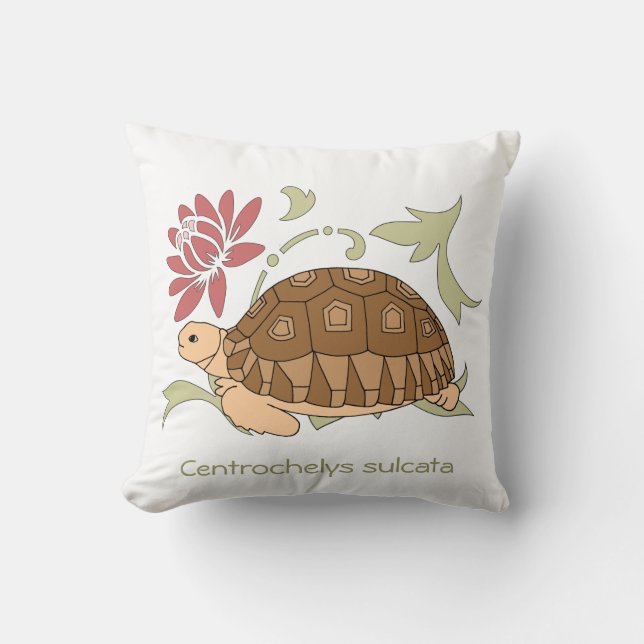 Baby Sulcata Tortoise Pillow (Front)