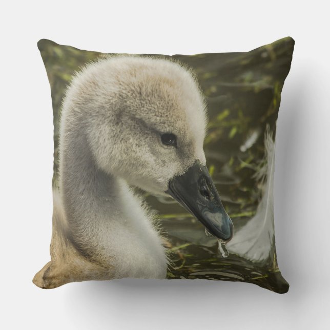 Baby Swan And Feather Cushion (Front)
