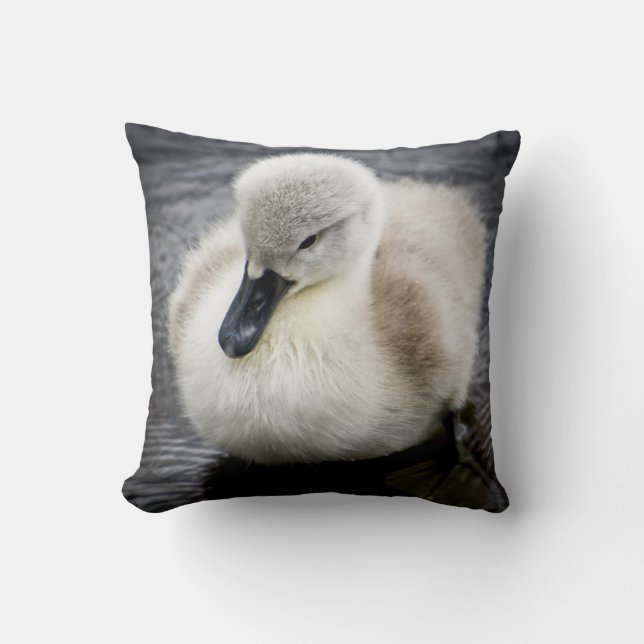 Baby Swan | Cygnet Cushion (Front)