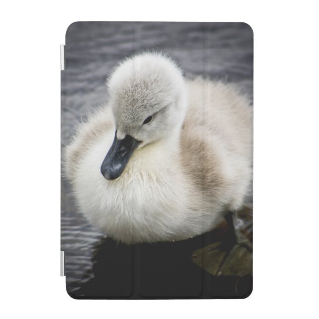Baby Swan | Cygnet iPad Mini Cover (Front)