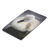 Baby Swan | Cygnet iPad Mini Cover (Side)
