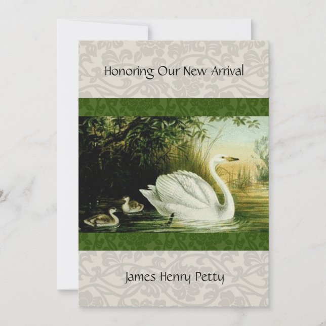Baby Swans Baby Shower invitation (Front)