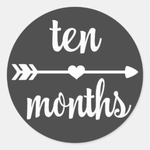 Baby Ten Months Milestone Stickers