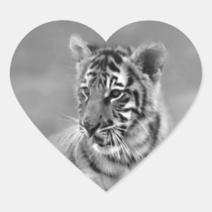 Baby Tiger in Black and white Heart Sticker