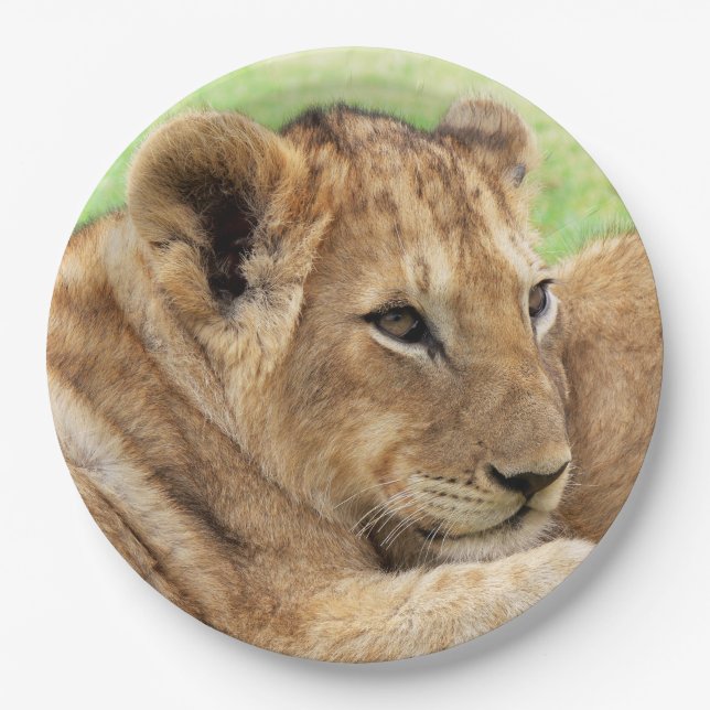 Baby Tiger paper plates (Front)
