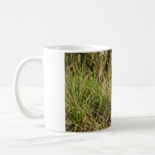 Baby Tiger Sitting in Grass Coffee Mug