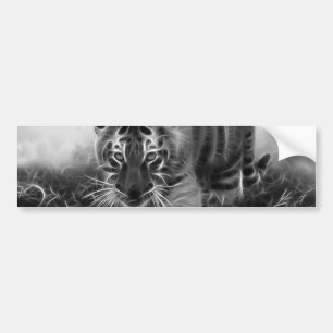 Baby Tiger stalking in Black and white Bumper Sticker