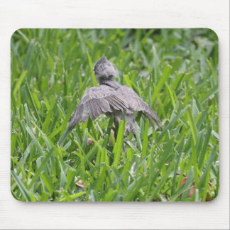 Baby Titmouse Learning to Fly Mouse Mat