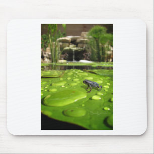 Baby Toad in Pond Mouse Mat