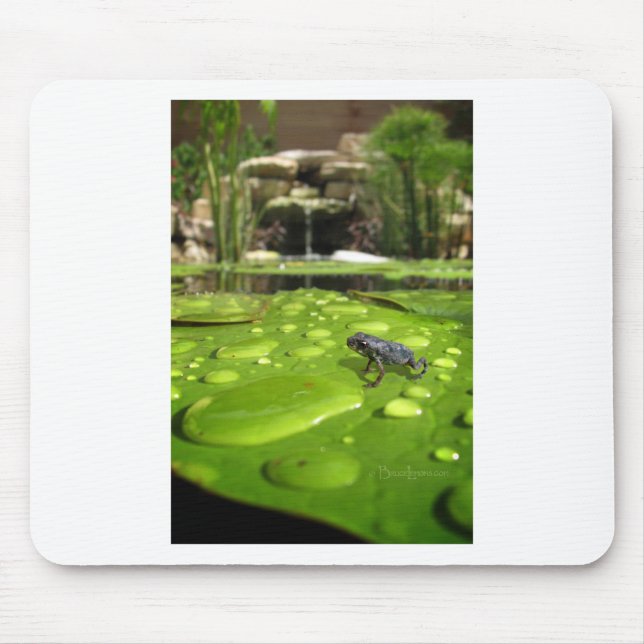 Baby Toad in Pond Mouse Mat (Front)