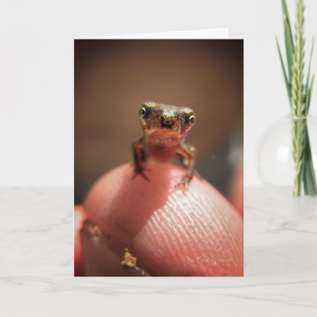 Baby Toad / Tadpole Card (Front)