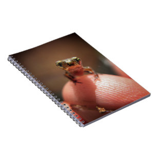 Baby Toad / Tadpole Notebook