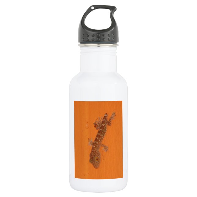 Baby Tokay Gecko 532 Ml Water Bottle (Front)