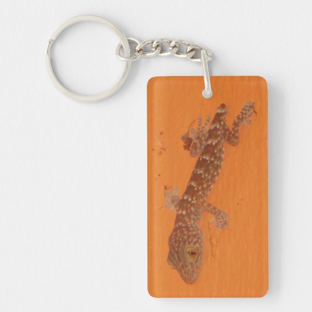 Baby Tokay Gecko Key Ring (Front)