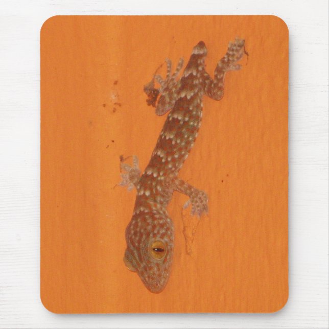 Baby Tokay Gecko Mouse Mat (Front)