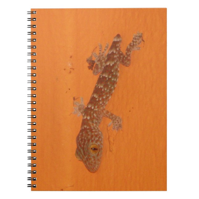 Baby Tokay Gecko Notebook (Front)