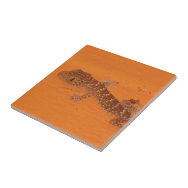 Baby Tokay Gecko Tile (Side)
