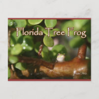 Baby Tree Frog in Bonsai plant with text