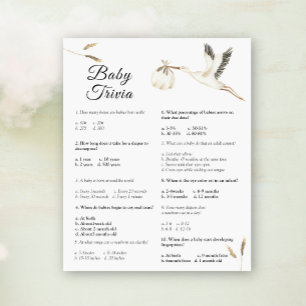 Baby Trivia - Stork Baby Shower Game