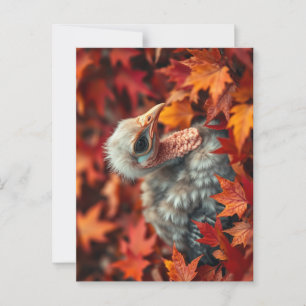 Baby Turkey in Autumn Postcard