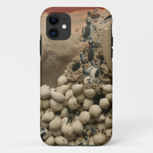 Baby Turtle Eggs Hatching iPhone 11 Case
