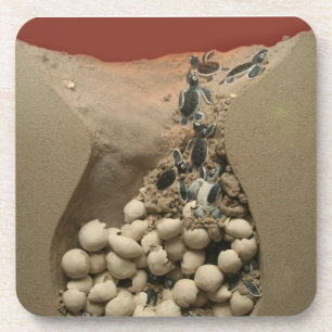 Baby Turtle Eggs Hatching Coaster