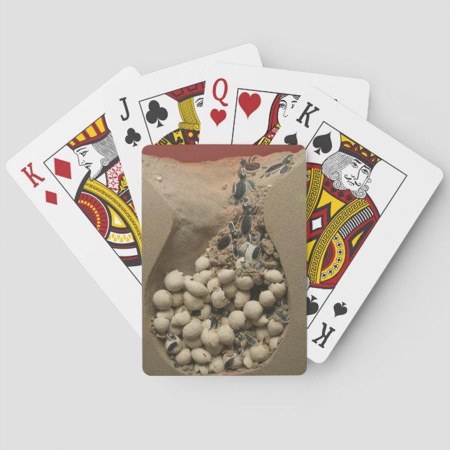 Baby Turtle Eggs Hatching Playing Cards (Back)
