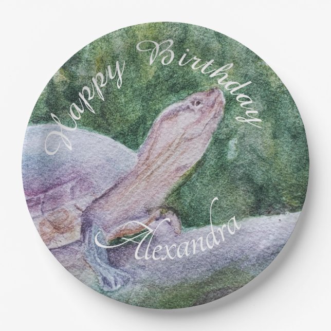 Baby Turtle Happy Birthday Paper Plate (Front)