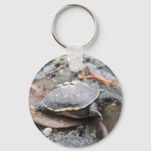baby turtle key ring