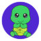 Baby turtle