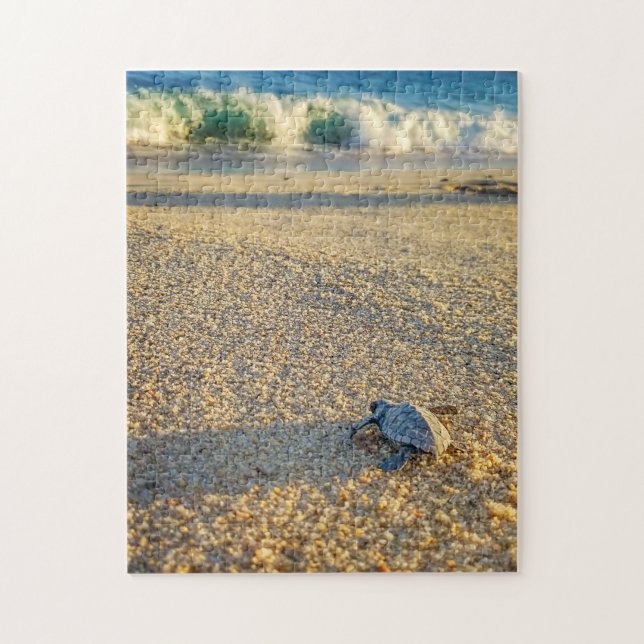 Baby Turtle walking to the Ocean in Los Cabos Jigsaw Puzzle (Vertical)