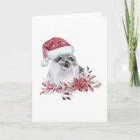 Baby Water Seal Wearing Christmas Hat