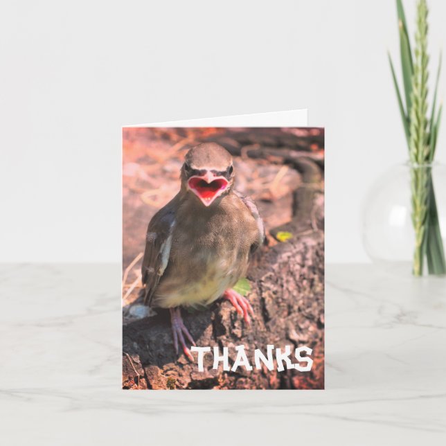 Baby Waxwing Bird Customisable Thank You Card (Front)