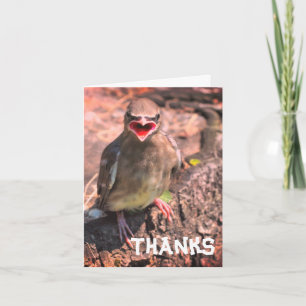 Baby Waxwing Bird Customisable Thank You Card