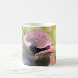 Baby Waxwing Bird Face Nature Personalised Coffee Mug