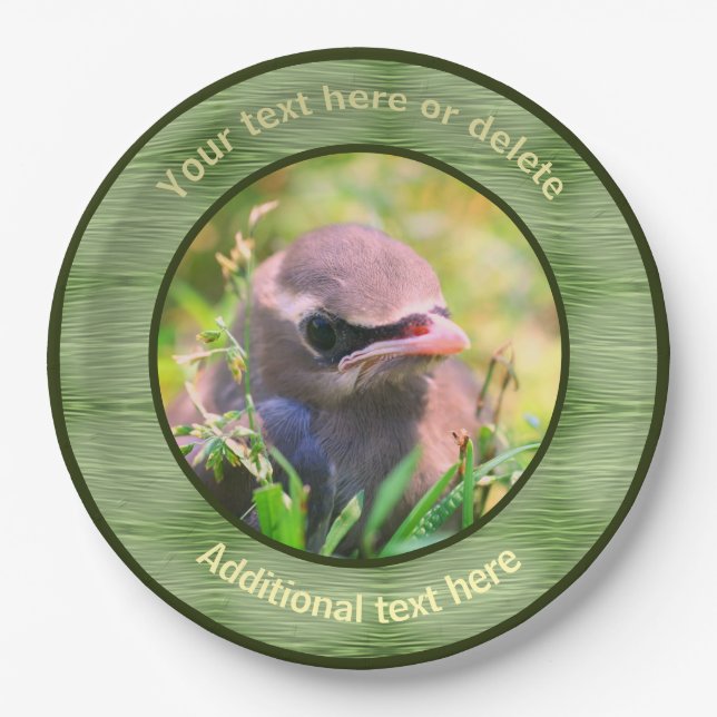 Baby Waxwing Bird Nature Personalised Party  Paper Plate (Front)
