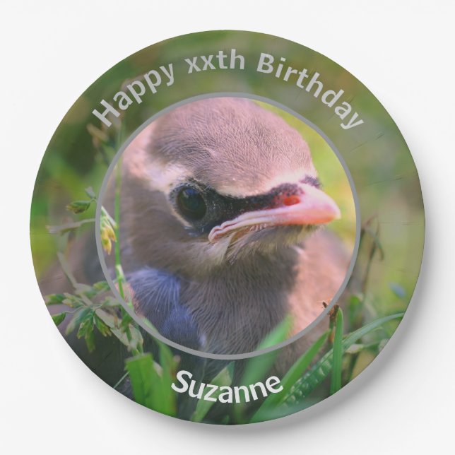 Baby Waxwing Bird Personalised Birthday Party Paper Plate (Front)