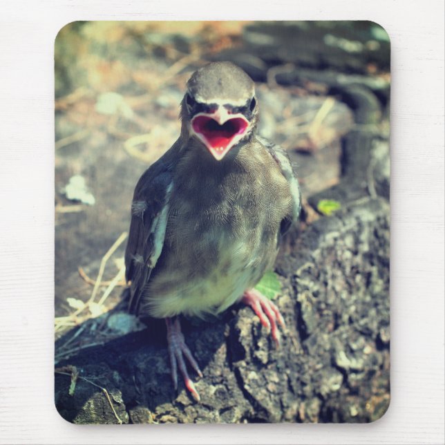 Baby Waxwing Fledgling Bird Nature  Mouse Mat (Front)