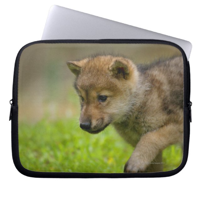 Baby Wolf Laptop Sleeve (Front)