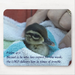 Baby Wood Duck Mouse Mat