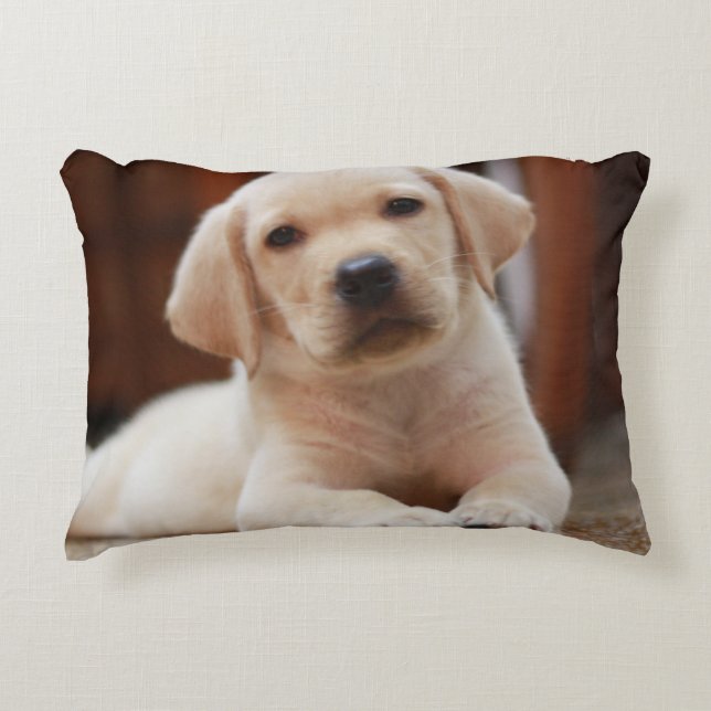 Baby Yellow Labrador Puppy Dog laying on Belly Decorative Cushion (Front)