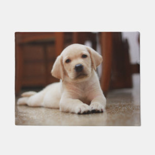 Baby Yellow Labrador Puppy Dog laying on Belly Doormat