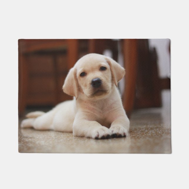 Baby Yellow Labrador Puppy Dog laying on Belly Doormat (Front)