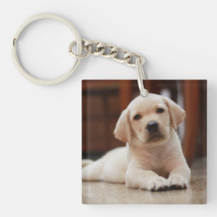 Baby Yellow Labrador Puppy Dog laying on Belly Key Ring