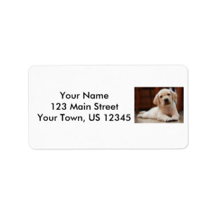 Baby Yellow Labrador Puppy Dog laying on Belly Label