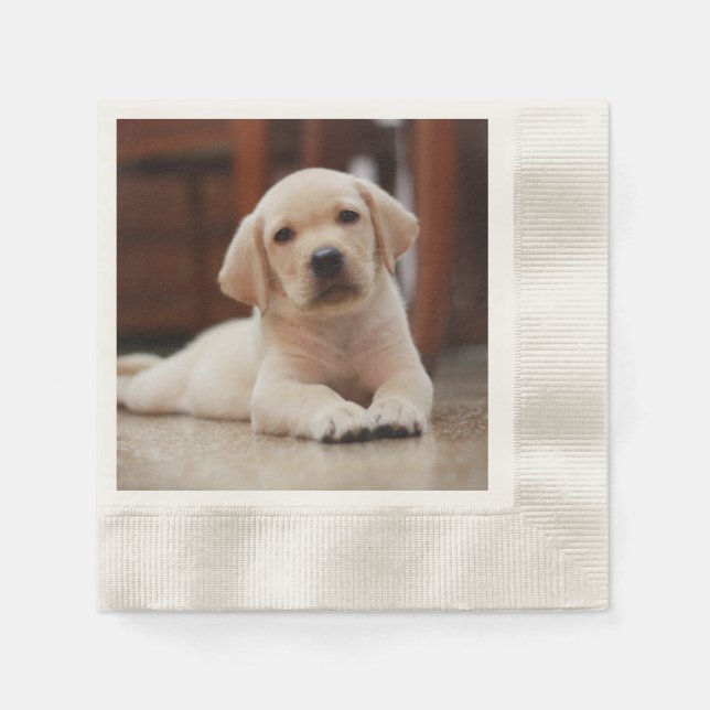 Baby Yellow Labrador Puppy Dog laying on Belly Napkin (Front)