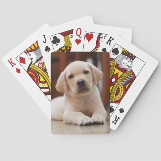 Baby Yellow Labrador Puppy Dog laying on Belly Playing Cards (Back)