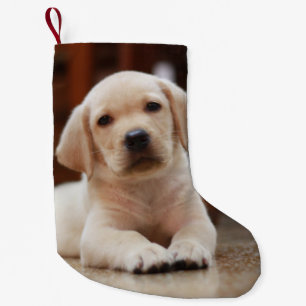 Baby Yellow Labrador Puppy Dog laying on Belly Small Christmas Stocking