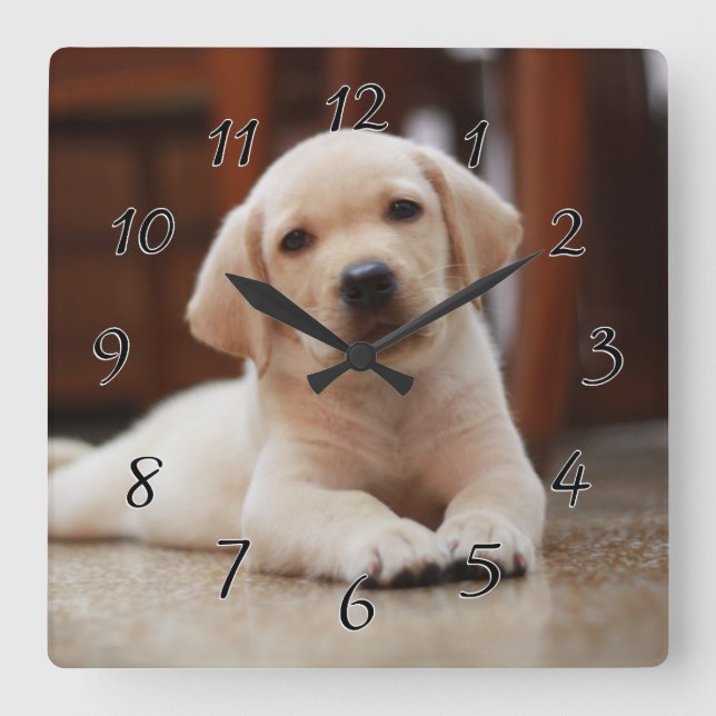 Baby Yellow Labrador Puppy Dog laying on Belly Square Wall Clock (Front)