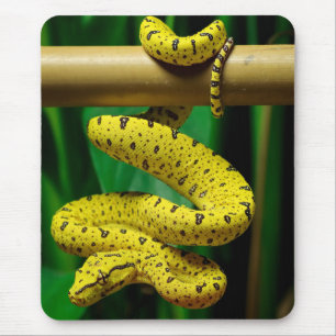 Baby Yellow Phase Green Tree Python Snake Mouse Mat